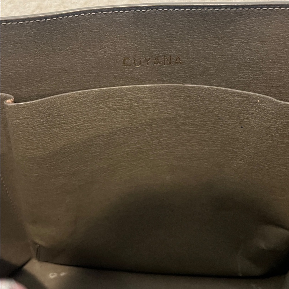 Cuyana tote organizer - Picture 4 of 6